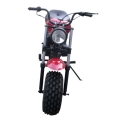 Mini-cykel 196cc fyrtaktsmotorcykel